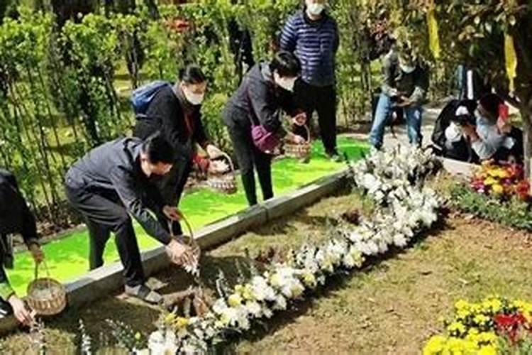 清明节祭扫2026铜陵