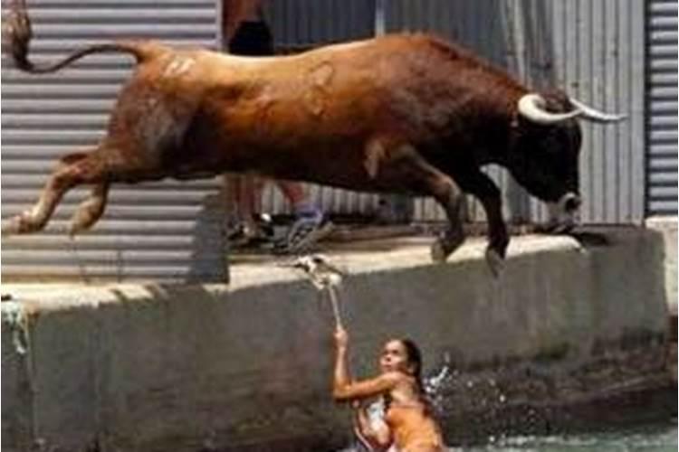 梦见牛发疯攻击人怎么回事啊？