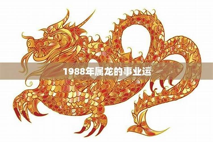 1988年属龙最佳婚配