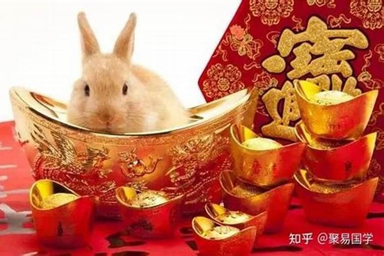 属兔的九月运程怎样？