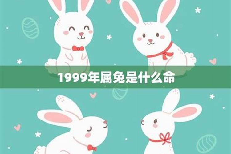 兔的运势1999年兔一生的运势
