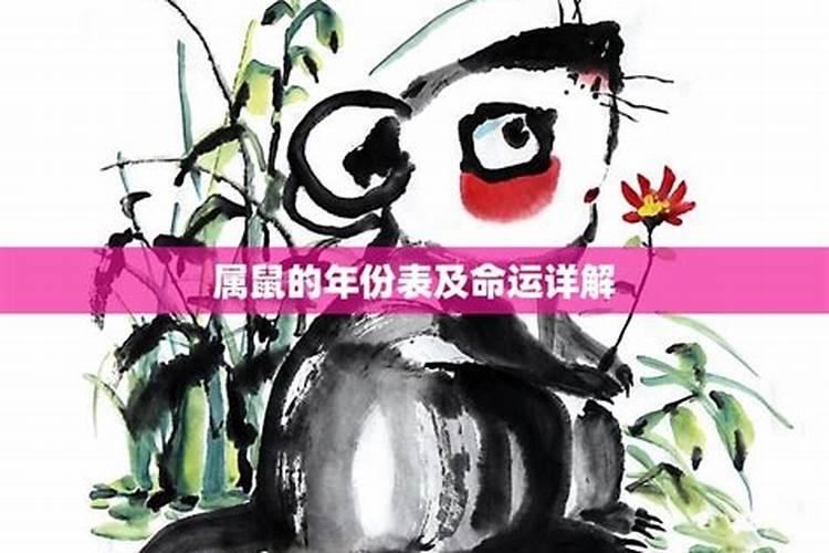 属鼠九月初九生命运