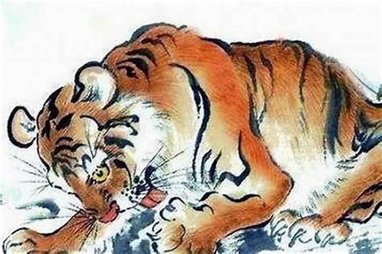 木虎和火兔合婚吗？