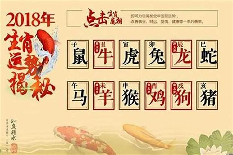 九六年生今年运势