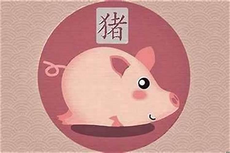属猪九月出生运程