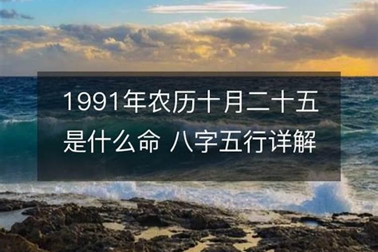 1991农历十月二十五今年运势