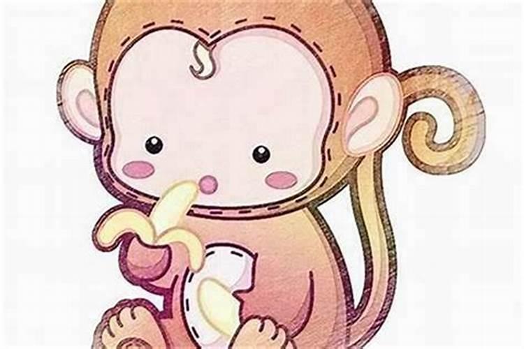 属狗跟属猴的合婚吗？