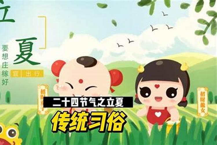 立夏习俗的知识