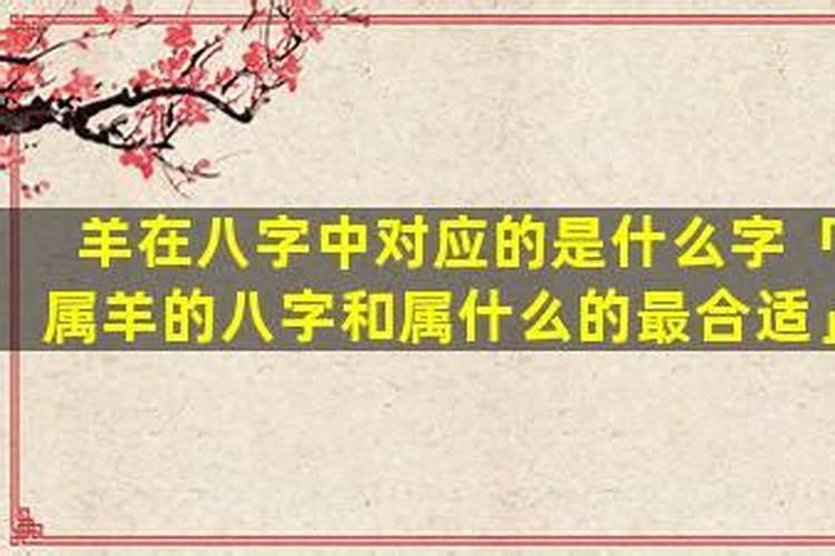 属羊八字大是什么意思？