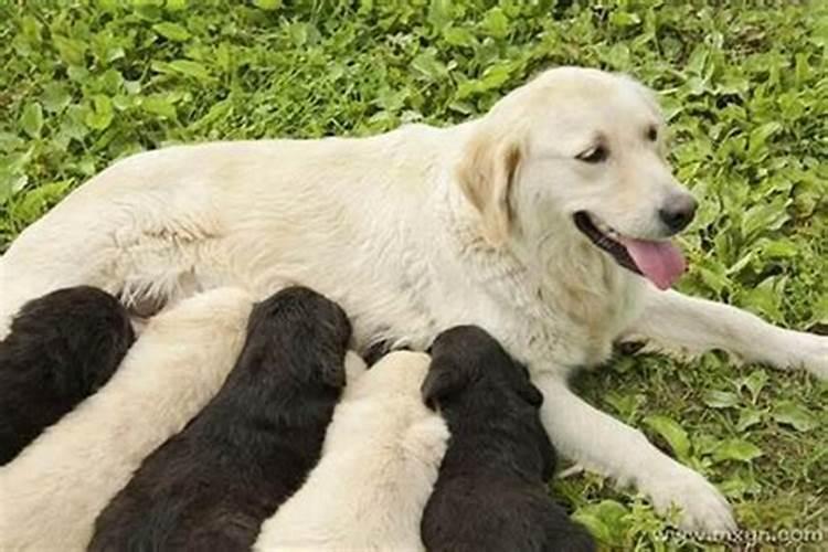 人的运气一直不顺是什么原因？