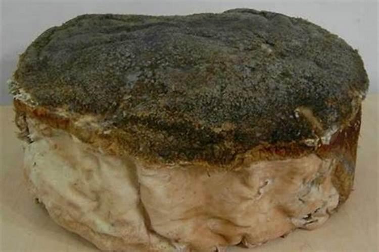 太岁是长在什么地方的？