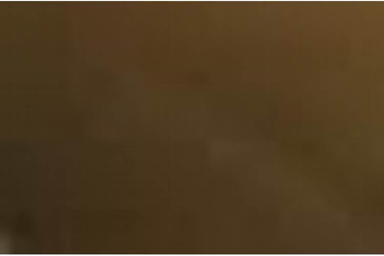 男蛇和女狗八字合不合