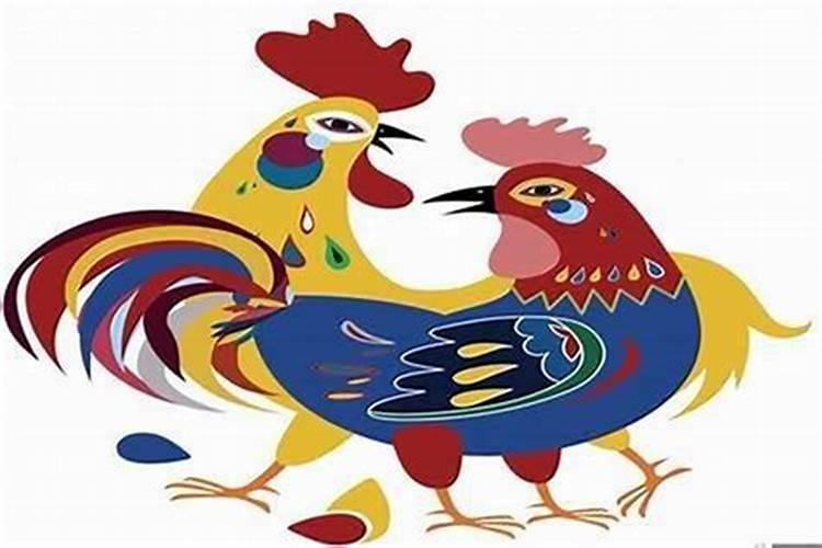 属鼠的和属鸡的合婚吗？