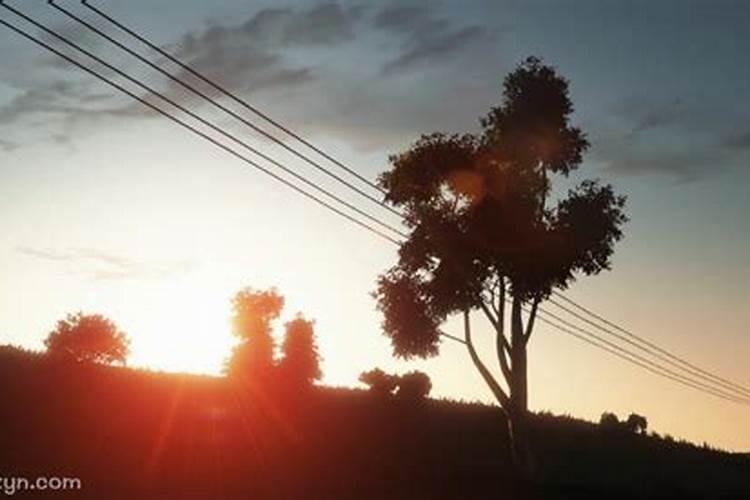 梦见杀牛预示将来会发生什么事？