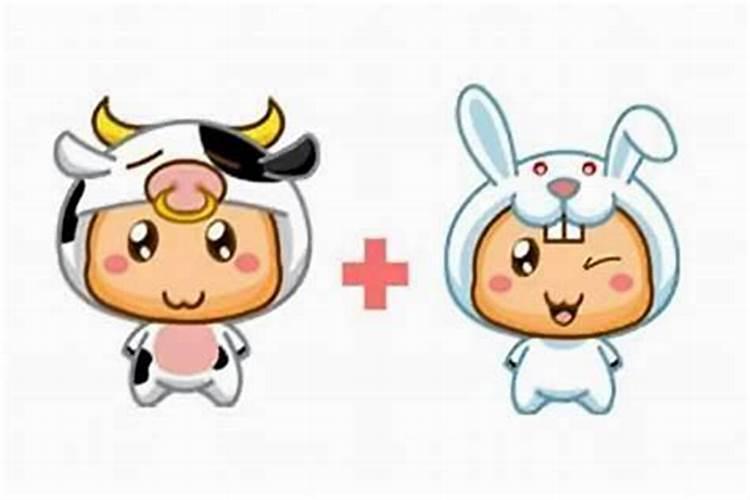 属牛和属兔的合婚吗？