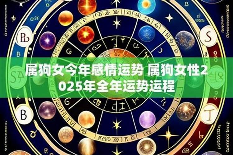 女属狗在今年11月运程