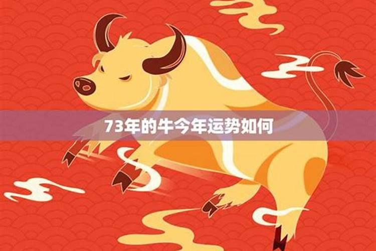 立冬牛年运势如何查询？