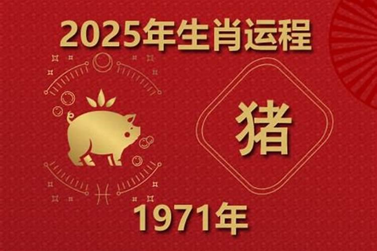 1971年属猪2026年运势详解
