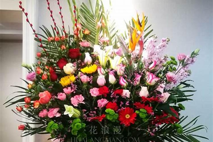 重阳节观赏哪种花？