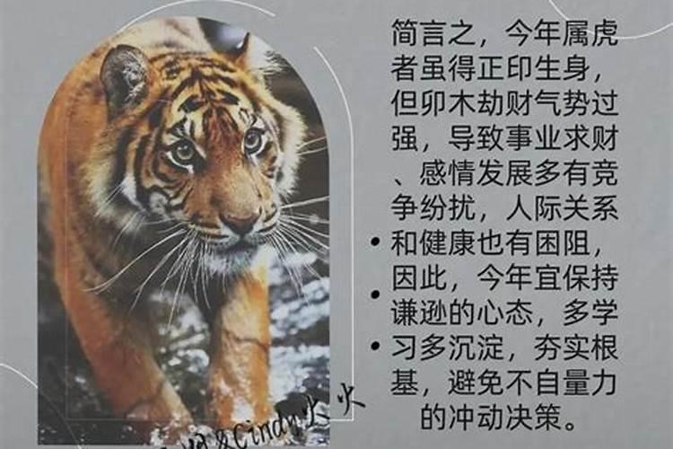 属虎人45岁的运程如何？