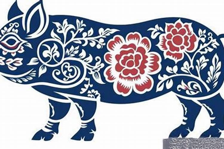 属猪2026年运势李启明