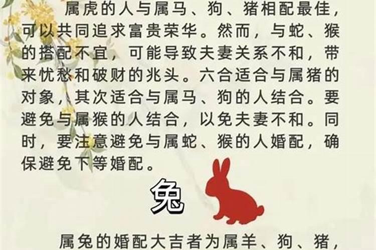 男鸡和女鼠属相婚配吗？