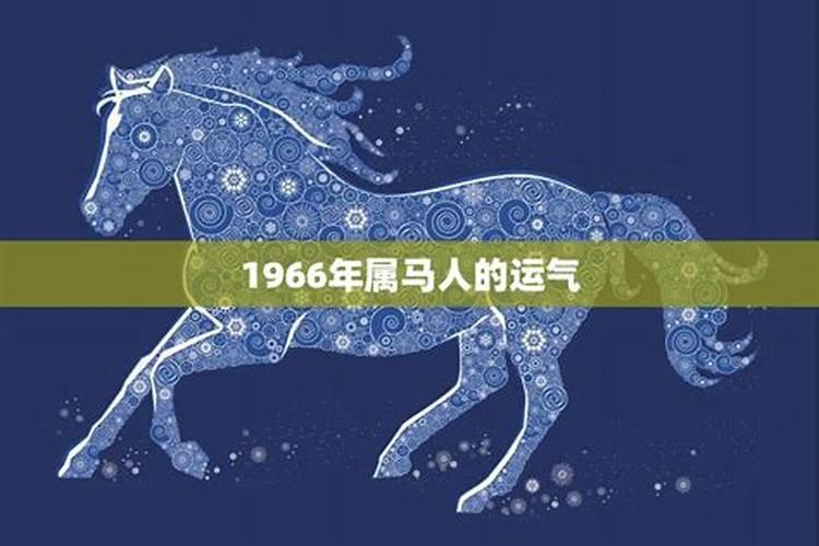 1966年属马的今年运势如何？