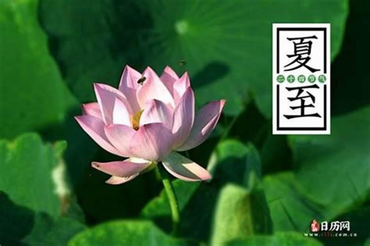 请问今年的夏至是几月几号？