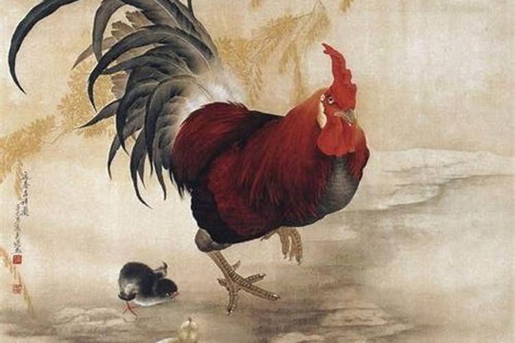 52岁的属鸡的女什么运程？