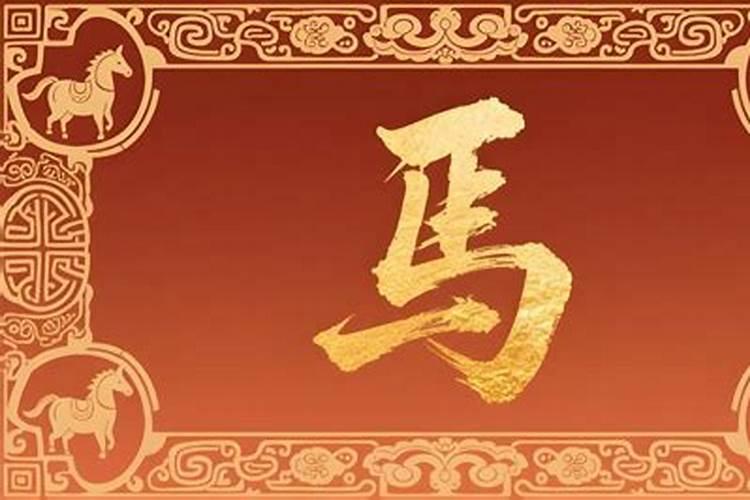 生肖马今日运势查询