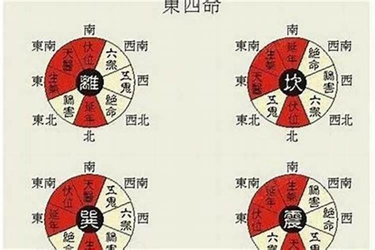 八字算命命卦东四命什么意思？