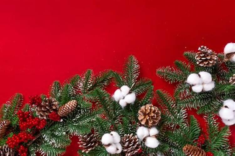 12月24号是什么日子？