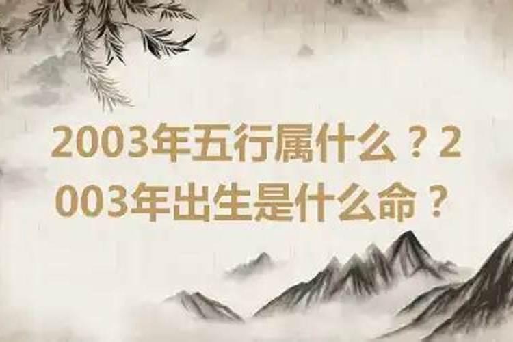 2003年出生是什么命？