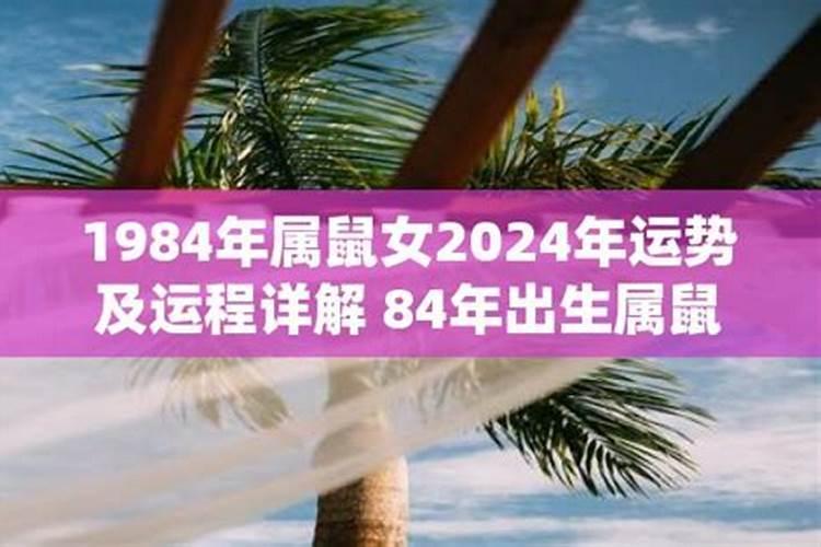 84属鼠人女2026年运势