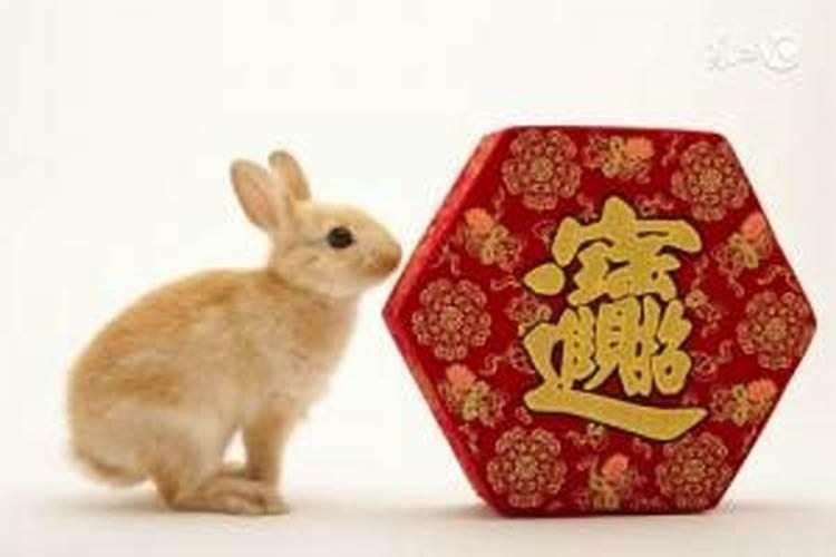 87年属兔在2026年运势如何？