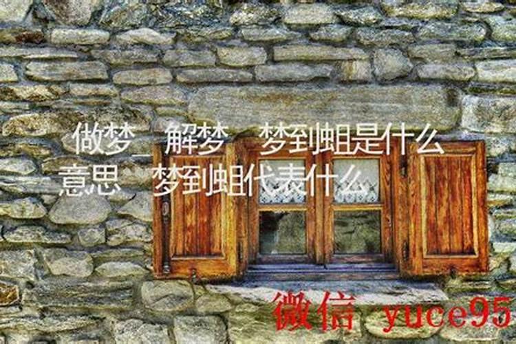 做梦梦到蛆是什么意思？