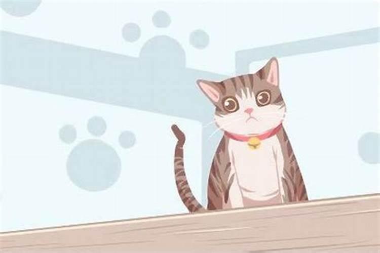 梦见很多猫进家是什么意思？