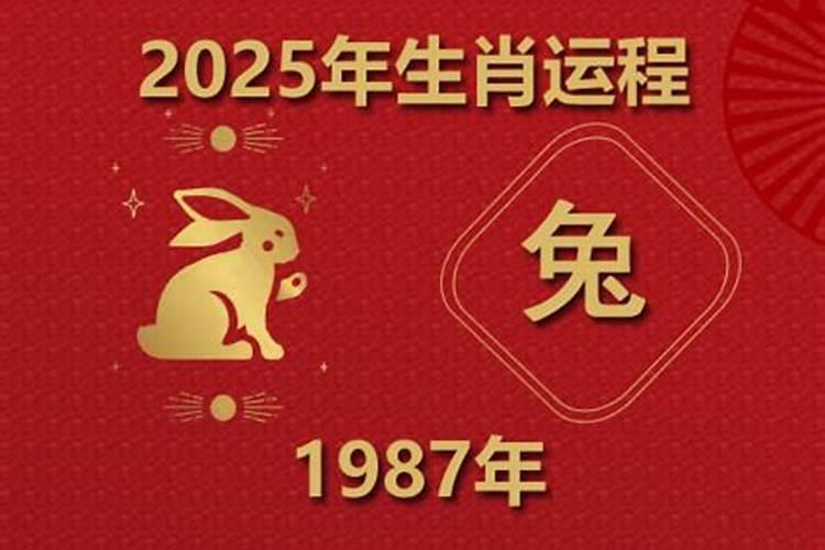 1987属兔今年运势