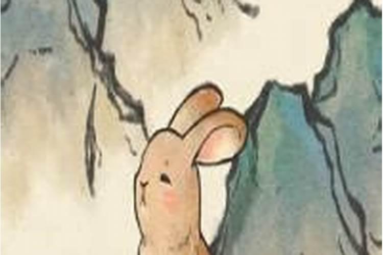 属兔和属羊的八字合不合