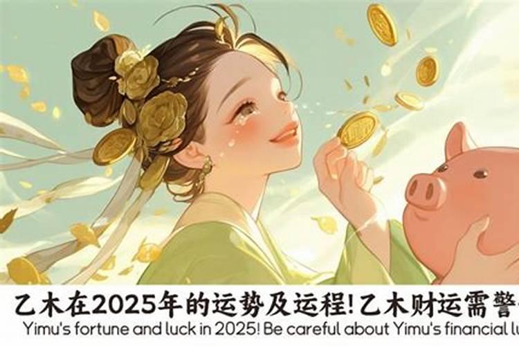 乙木2026年的运程