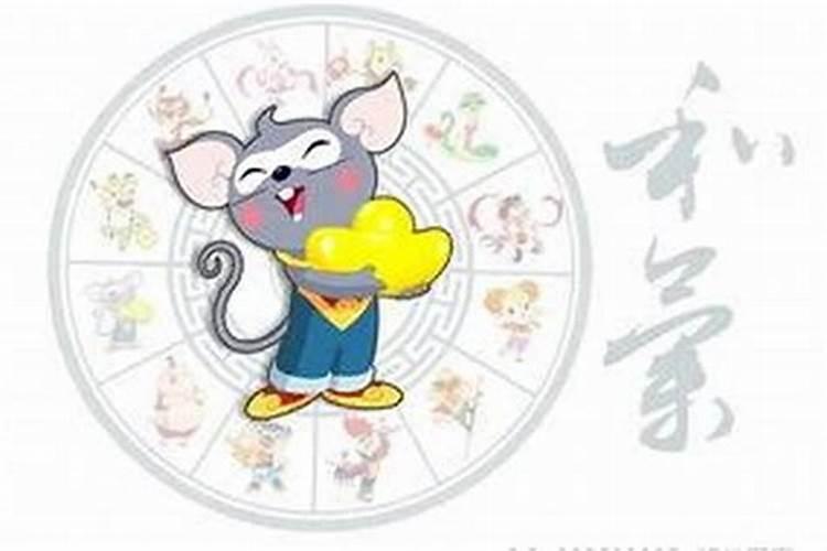 小人可以代表什么生肖？