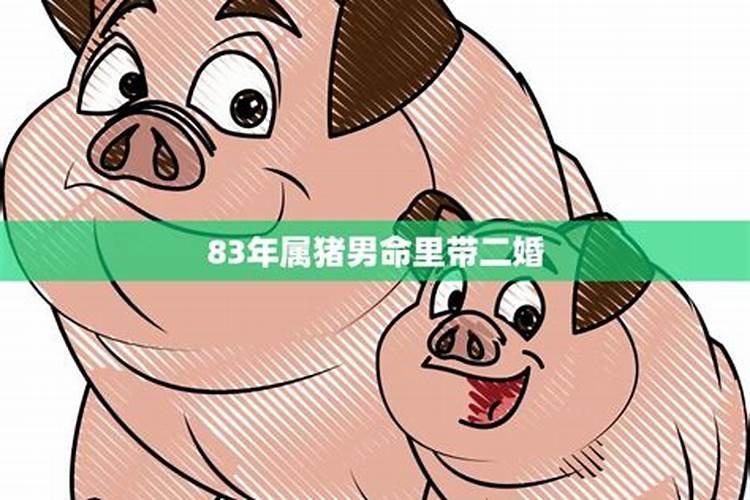 83年男属猪人婚姻不顺