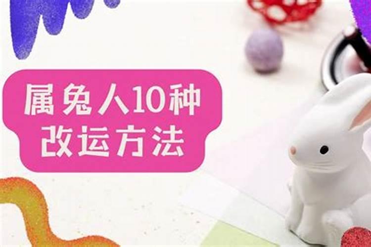 运气不好怎么转运属兔？