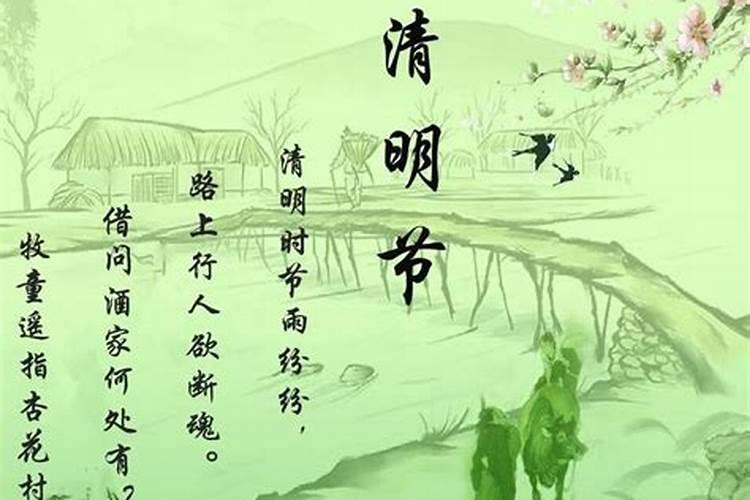 清明节寓意着中国人的哪些情感？