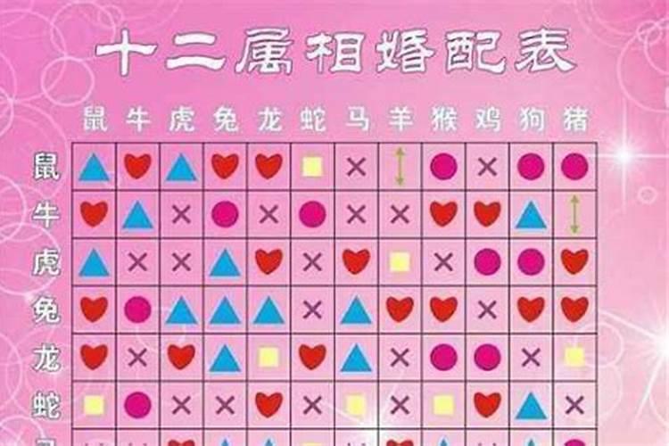 生肖相合宜忌