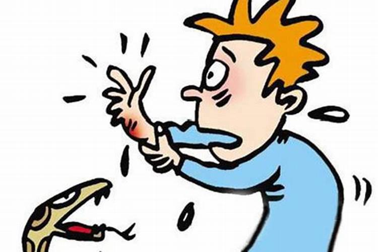 梦见儿子被蛇咬了一口见血了