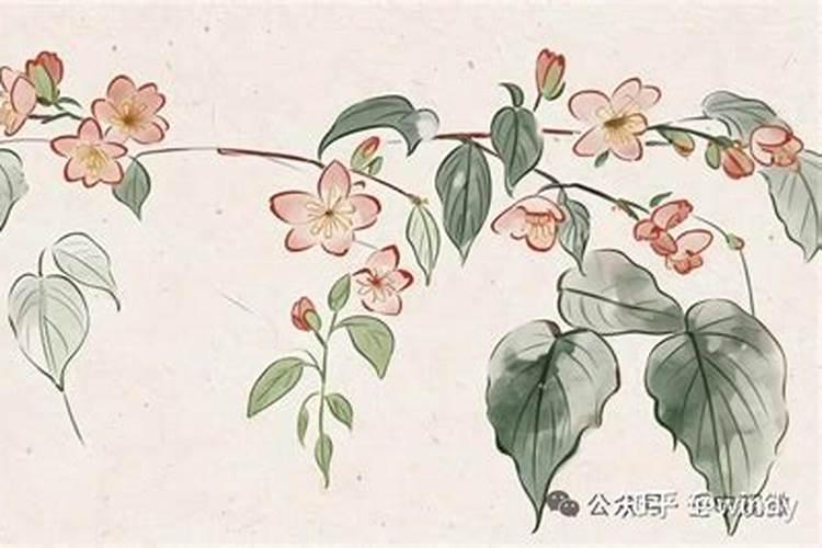 盲派如何看做功层次？