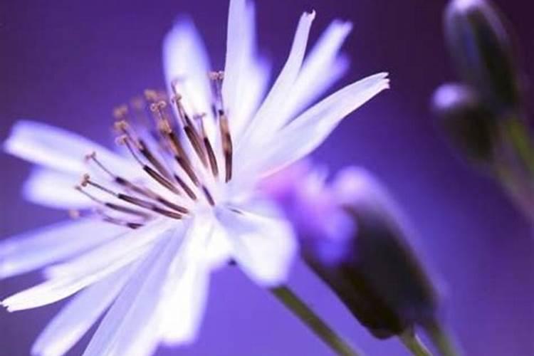 八字算婚姻一定准确吗？