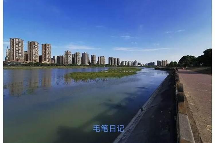 星期五农历腊月十九