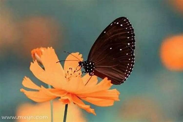 老梦见同一个人很多年了？